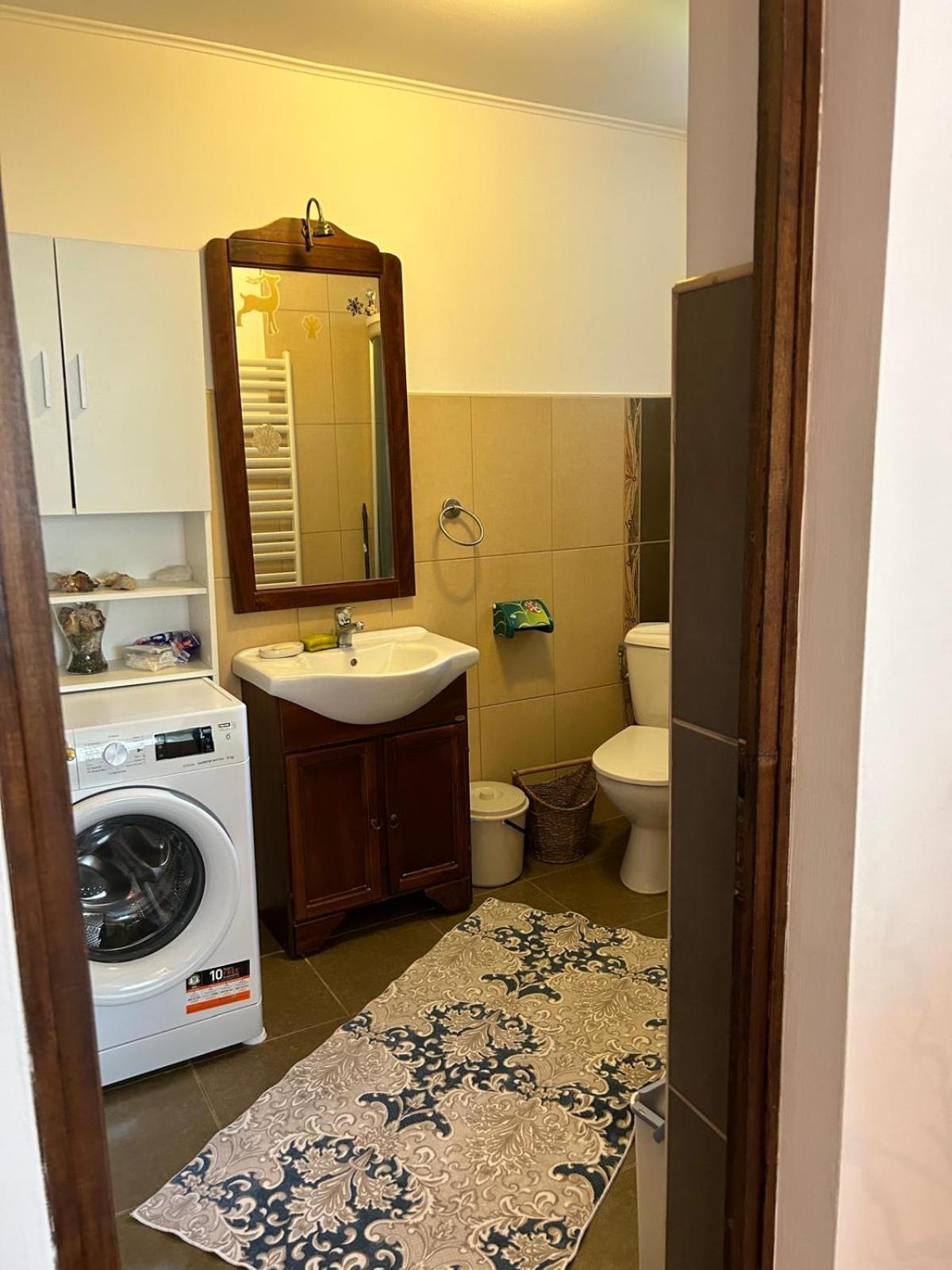 Vila De Inchiriat Aproape De Therme บาโลเตชติ ภายนอก รูปภาพ